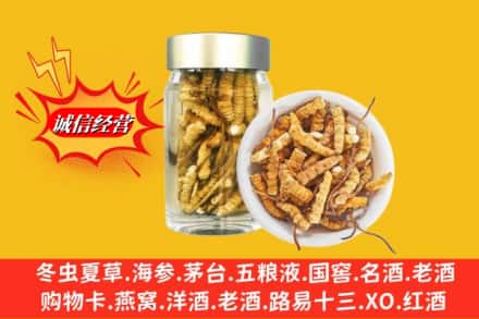南宁市武鸣回收散虫草