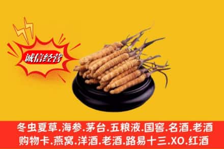 南宁市武鸣求购回收虫草多少钱每克